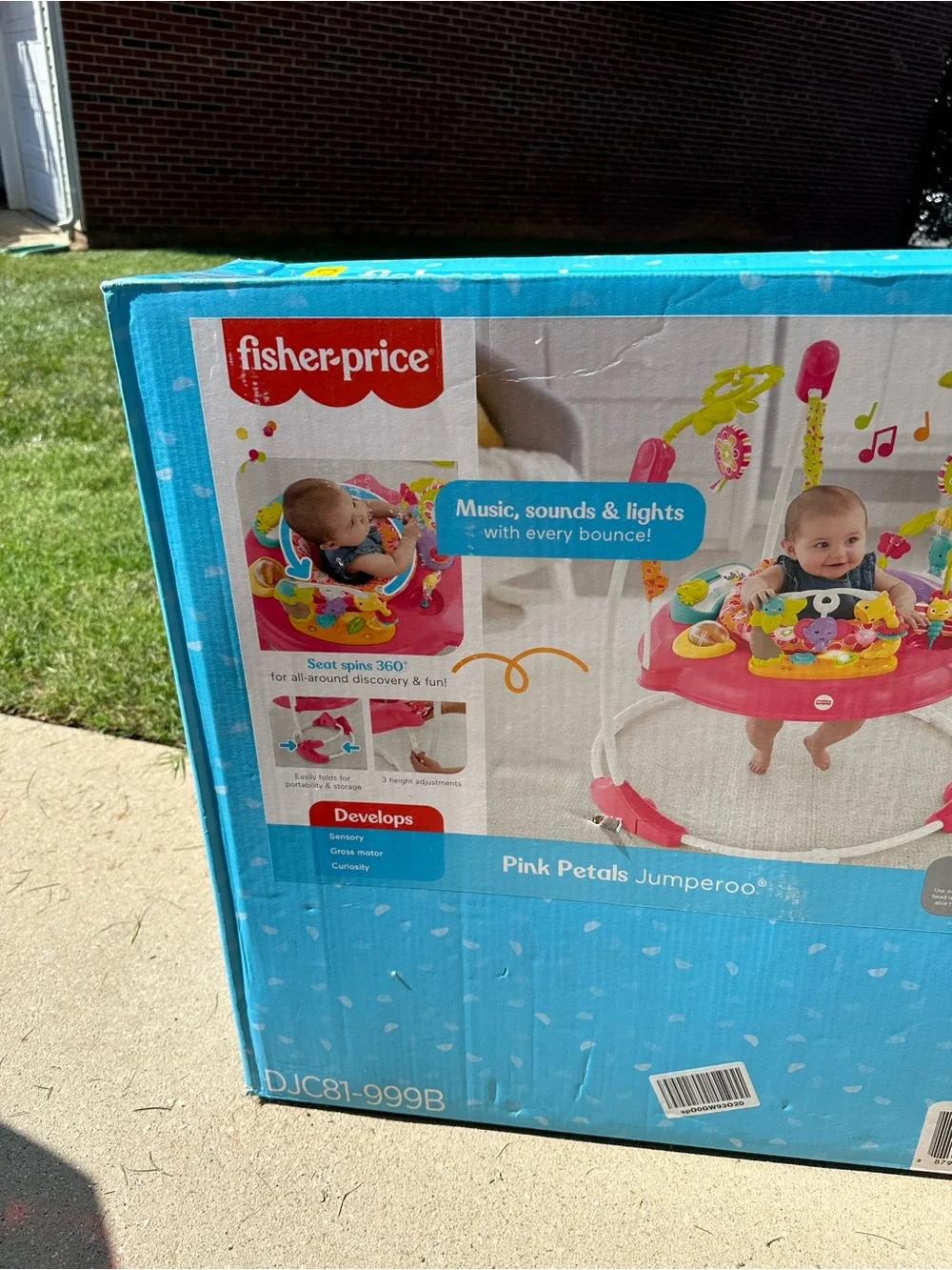 Fisher-Price Baby Bouncer Pink Petals Jumperoo